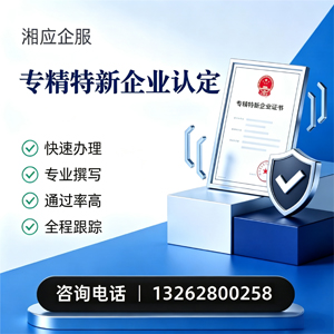景德镇专精特新企业申报服务