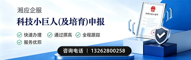景德镇科技小巨人及培育企业申报服务