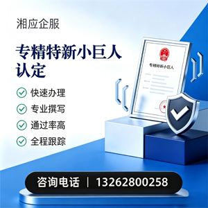 景德镇专精特新小巨人申报服务