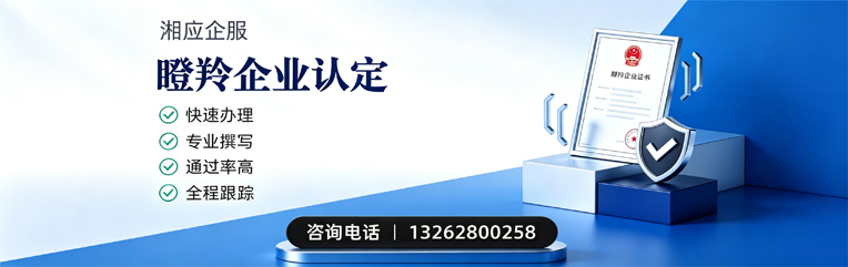 景德镇瞪羚企业认定申报服务