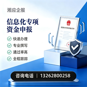 景德镇信息化专项资金申报服务