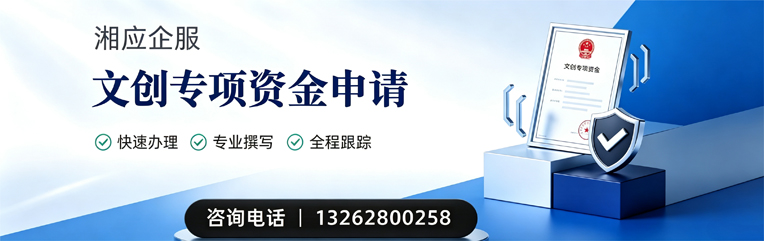 景德镇文创专项资金申报服务