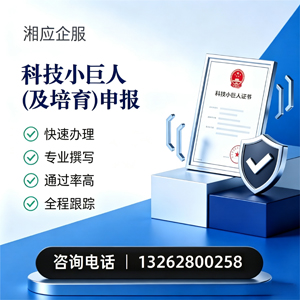 景德镇科技小巨人及培育企业申报服务