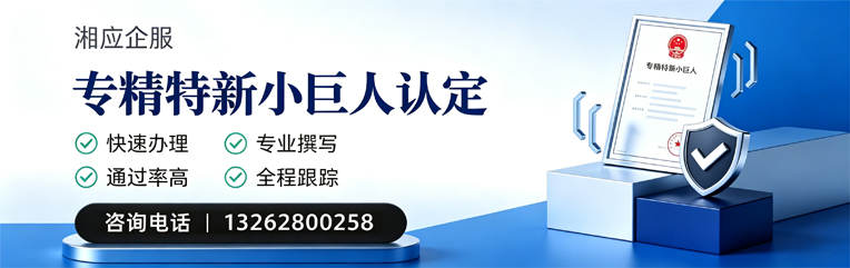 景德镇专精特新小巨人申报服务